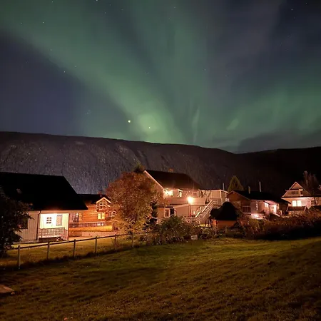 Northern Lights Entire