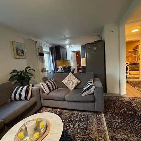 Northern Lights Entire